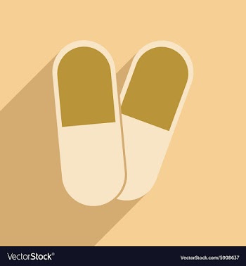 Flat with shadow icon and mobile application vector image