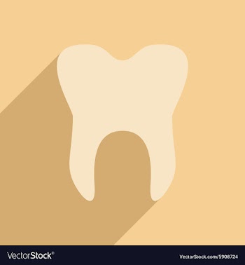 Flat with shadow icon and mobile application vector image