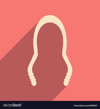 Flat with shadow icon and mobile application vector image