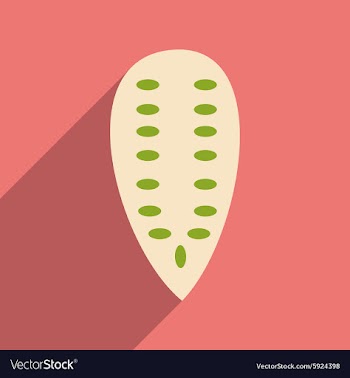 Flat with shadow icon and mobile application vector image