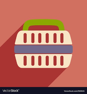 Flat with shadow icon and mobile application vector image