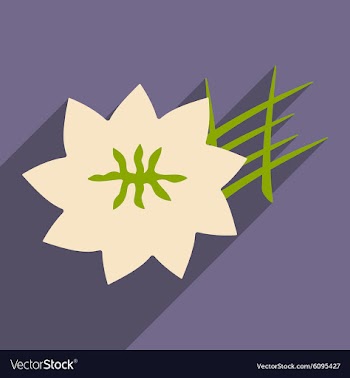 Flat with shadow icon and mobile application vector image