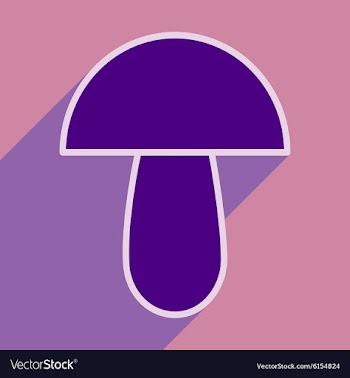 Flat with shadow icon and mobile application vector image