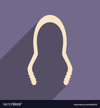 Flat with shadow icon and mobile application vector image