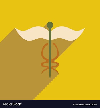 Flat with shadow icon and mobile application vector image