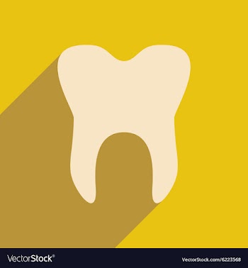 Flat with shadow icon and mobile application vector image
