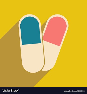 Flat with shadow icon and mobile application vector image