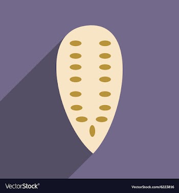 Flat with shadow icon and mobile application vector image