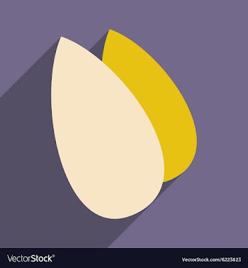 Flat with shadow icon and mobile application vector image