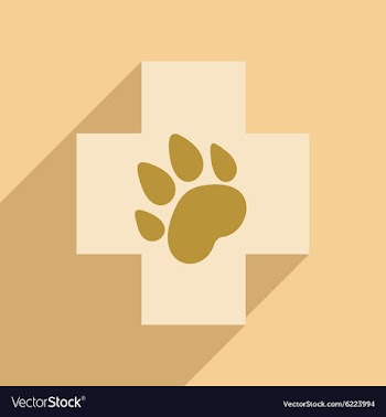 Flat with shadow icon and mobile application vector image