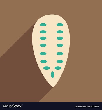 Flat with shadow icon and mobile application vector image