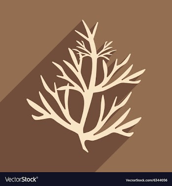 Flat with shadow icon and mobile application vector image