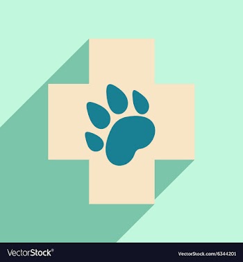 Flat with shadow icon and mobile application vector image