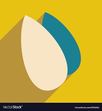 Flat with shadow icon and mobile application vector image