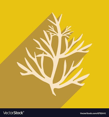 Flat with shadow icon and mobile application vector image