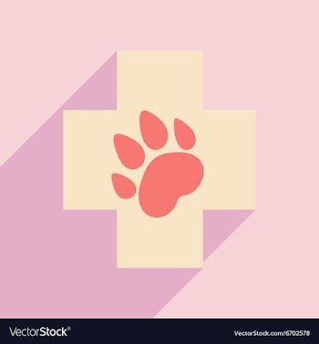 Flat with shadow icon and mobile application vector image