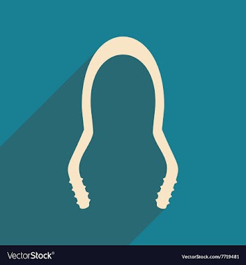 Flat with shadow icon and mobile application vector image