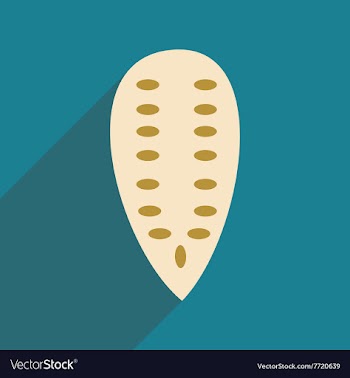 Flat with shadow icon and mobile application vector image