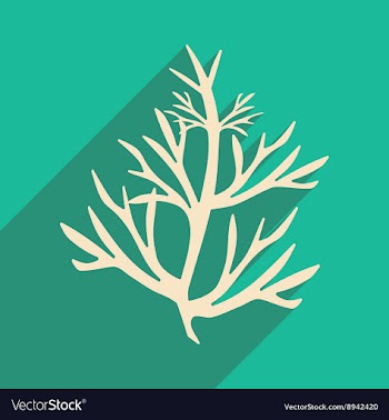 Flat with shadow icon and mobile application vector image