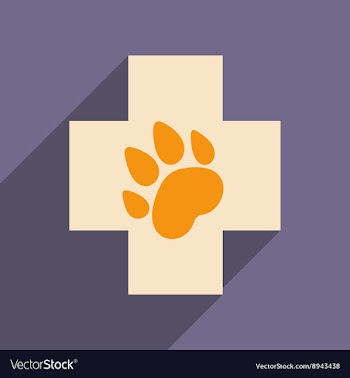 Flat with shadow icon and mobile application vector image