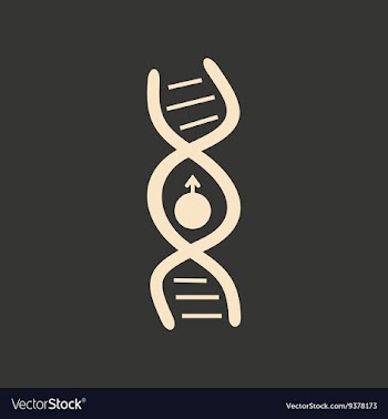 Flat with shadow icon and mobile application vector image