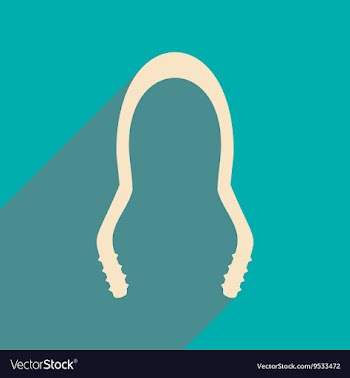 Flat with shadow icon and mobile application vector image