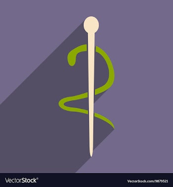Flat with shadow icon and mobile application vector image