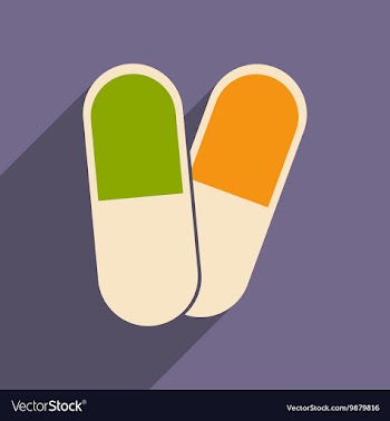 Flat with shadow icon and mobile application vector image