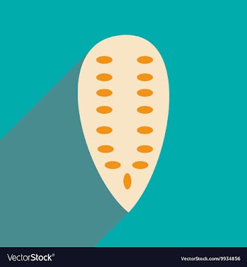 Flat with shadow icon and mobile application vector image