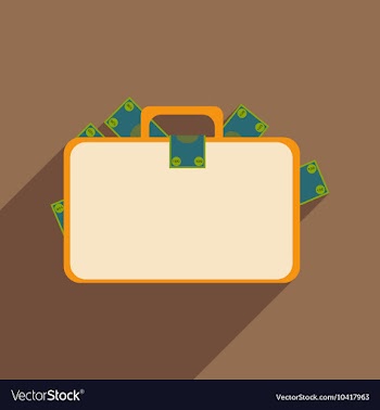 Flat with shadow icon case with money vector image
