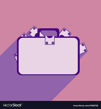 Flat with shadow icon case with money vector image