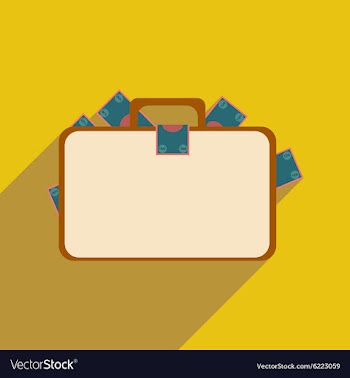 Flat with shadow icon case with money vector image