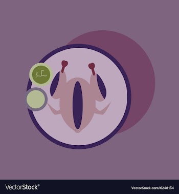 Flat with shadow Icon chicken on a plate sauce vector image