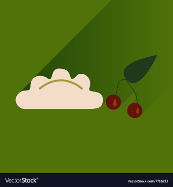 Flat with shadow Icon dumplings cherries on bright vector image
