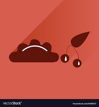 Flat with shadow Icon dumplings cherries on bright vector image