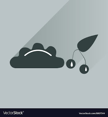 Flat with shadow Icon dumplings cherries on bright vector image