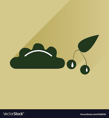 Flat with shadow Icon dumplings cherries on bright vector image