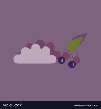 Flat with shadow Icon dumplings cherries vector image