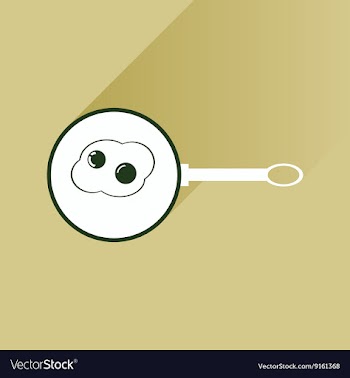 Flat with shadow Icon egg in frying pan vector image