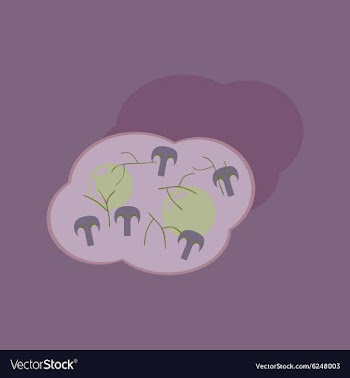 Flat with shadow Icon fried eggs mushrooms vector image