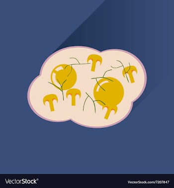Flat with shadow Icon fried eggs mushrooms vector image
