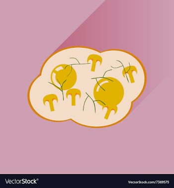 Flat with shadow Icon fried eggs mushrooms vector image