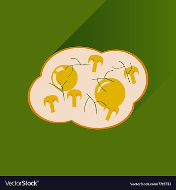 Flat with shadow Icon fried eggs mushrooms vector image