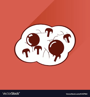 Flat with shadow Icon fried eggs mushrooms vector image