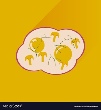 Flat with shadow Icon fried eggs mushrooms vector image