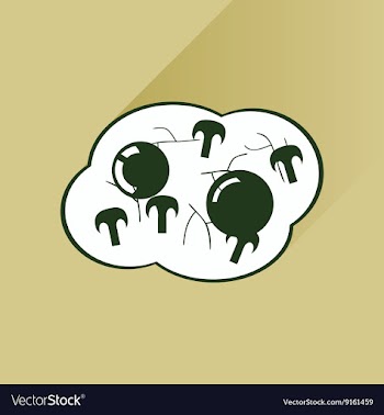 Flat with shadow Icon fried eggs mushrooms vector image