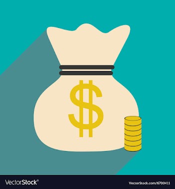 Flat with shadow icon money bag and coins vector image