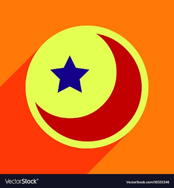 Flat with shadow Icon moon and star on colored vector image