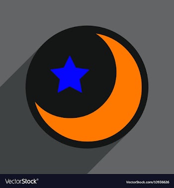 Flat with shadow Icon moon and star on colored vector image
