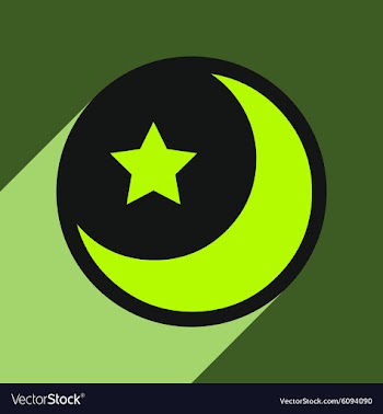 Flat with shadow Icon moon and star on colored vector image